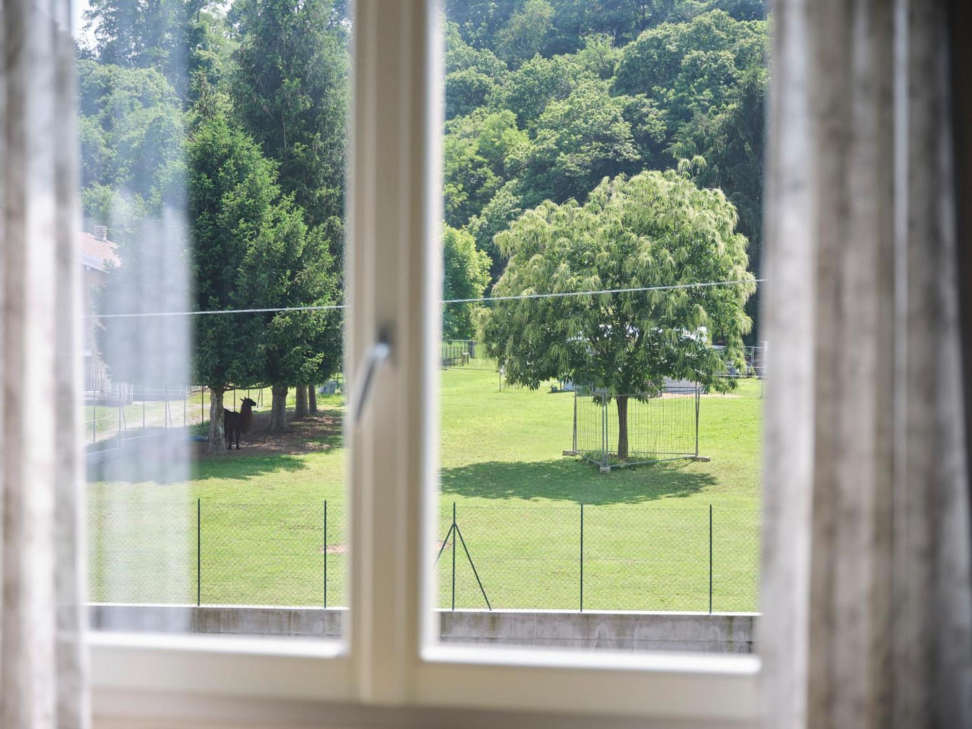 Casa Ierardi - Appartamento Arona Bellavista Bagian luar foto